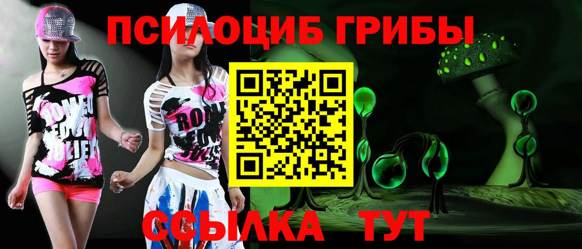 Галлюциногенные грибы Psilocybe Морозовск